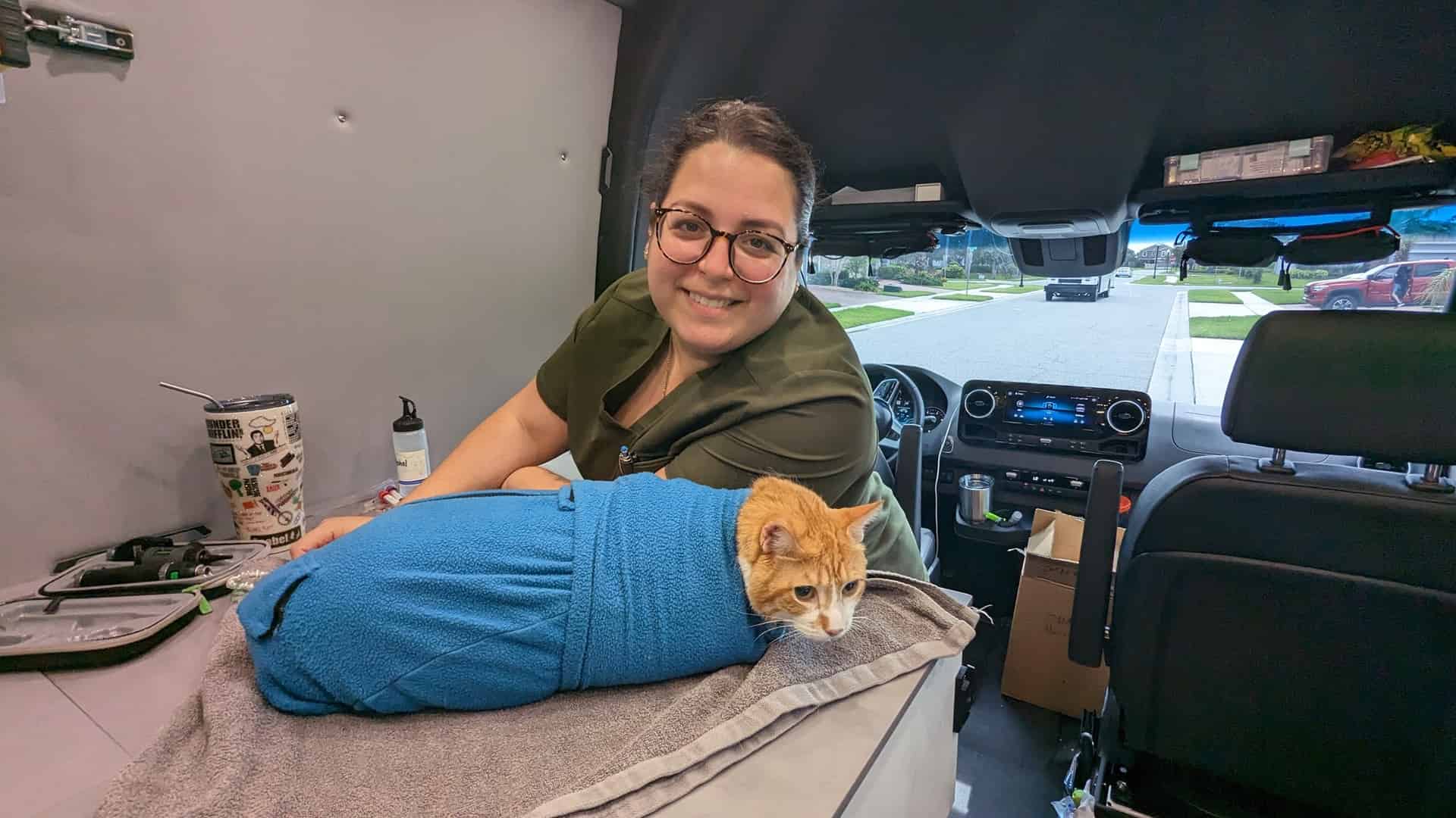 Veterinary care inside our mobile unit